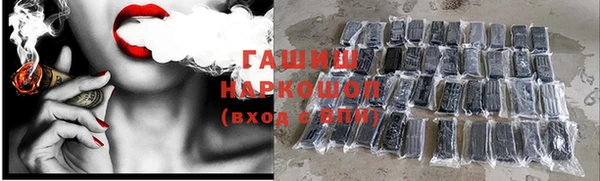 гашик Костерёво