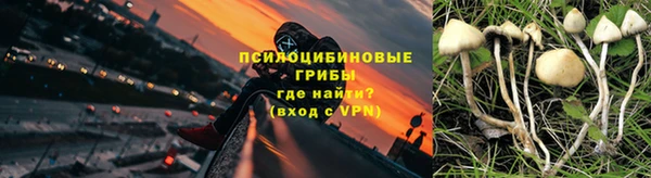 ешки Кодинск
