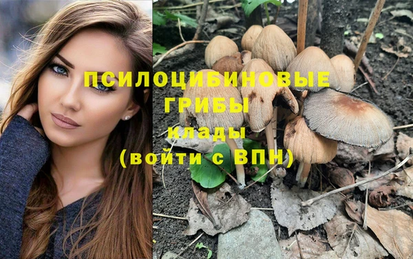 гашик Костерёво