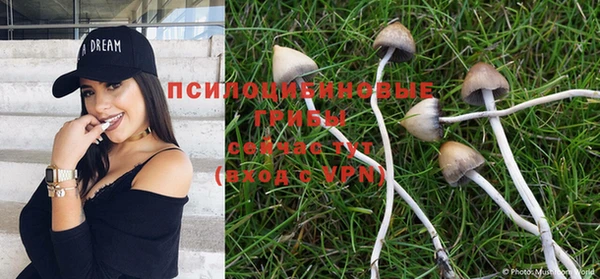 трава Козловка