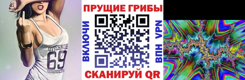 Псилоцибиновые грибы мицелий  shop официальный сайт  Котельнич  цены наркотик 